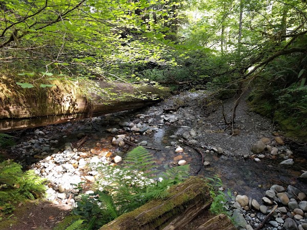 Stout Grove 4