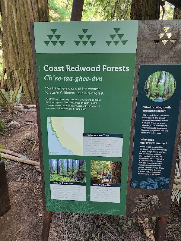 Stout Grove 3