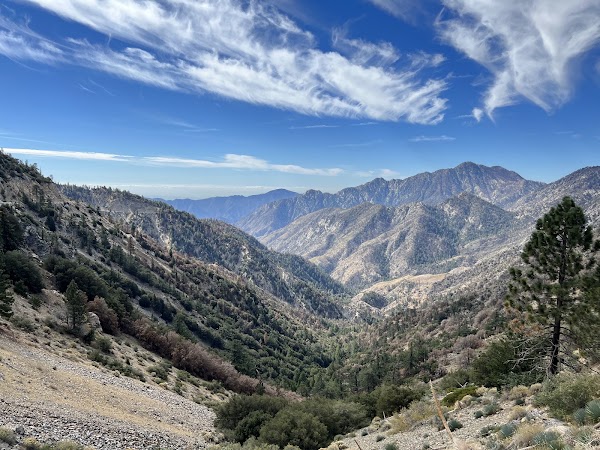 Angeles National Forest