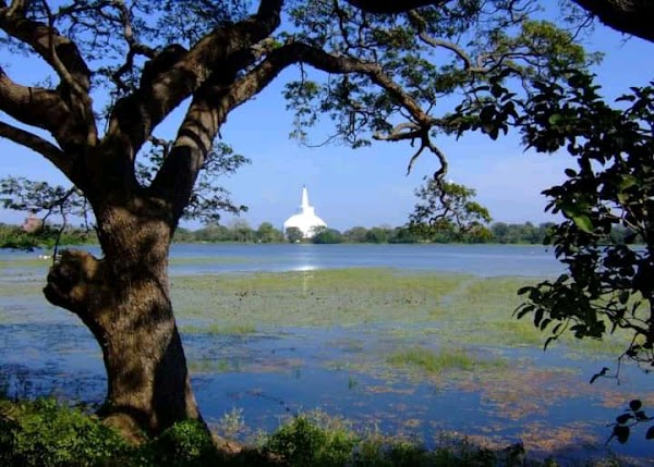 Anuradhapura 3