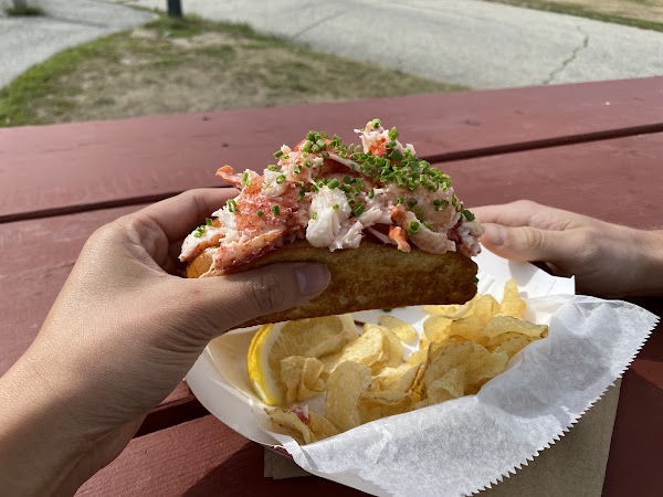 Bite into Maine 4