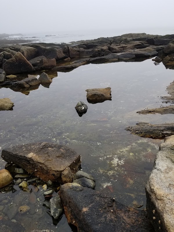 Goose Rocks Beach 2