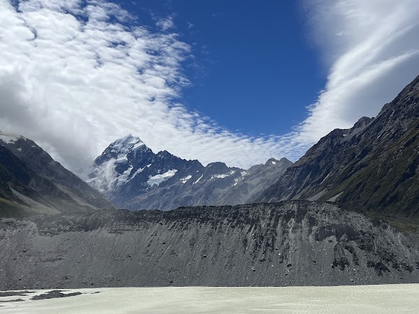 Nz 31