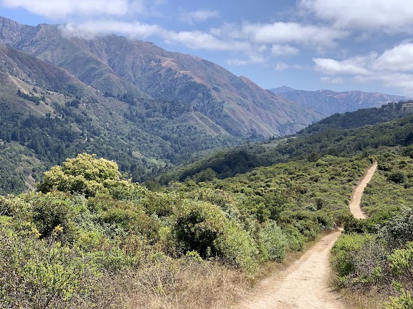 Andrew Molera State Park 3