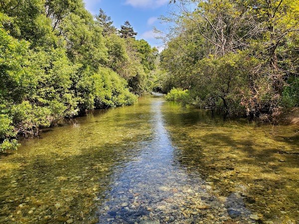 Andrew Molera State Park 2