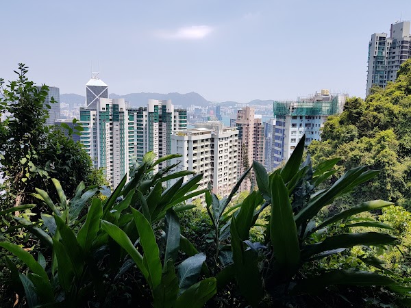 Central Green Trail 1