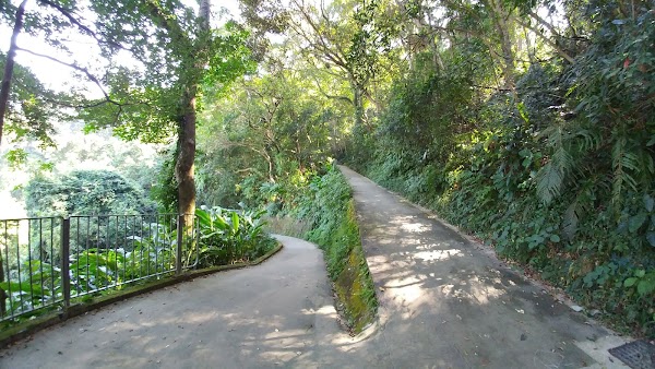 Central Green Trail 4