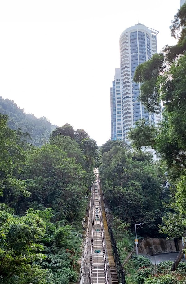 Central Green Trail 3