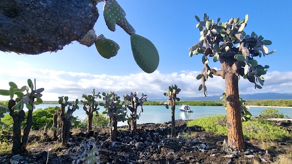 Playa Peninsula