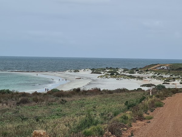 Lipson Cove 1