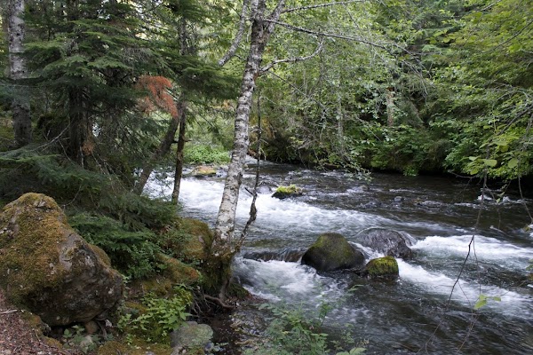 Opal Creek Wilderness 1