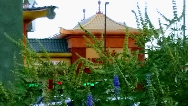 Chinatown Vegas 1