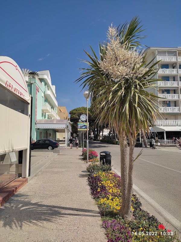 Bibione 2