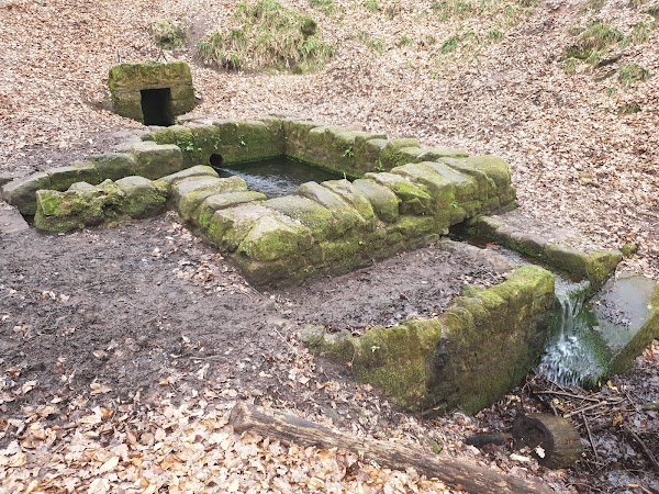 St. Anthony's Well 1