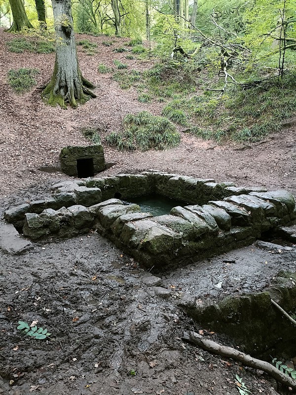 St. Anthony's Well 5