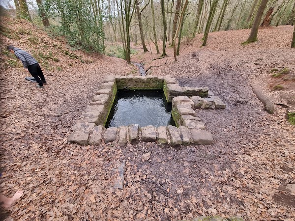 St. Anthony's Well 4