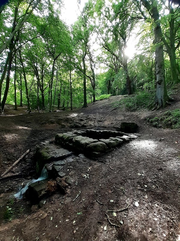St. Anthony's Well 3
