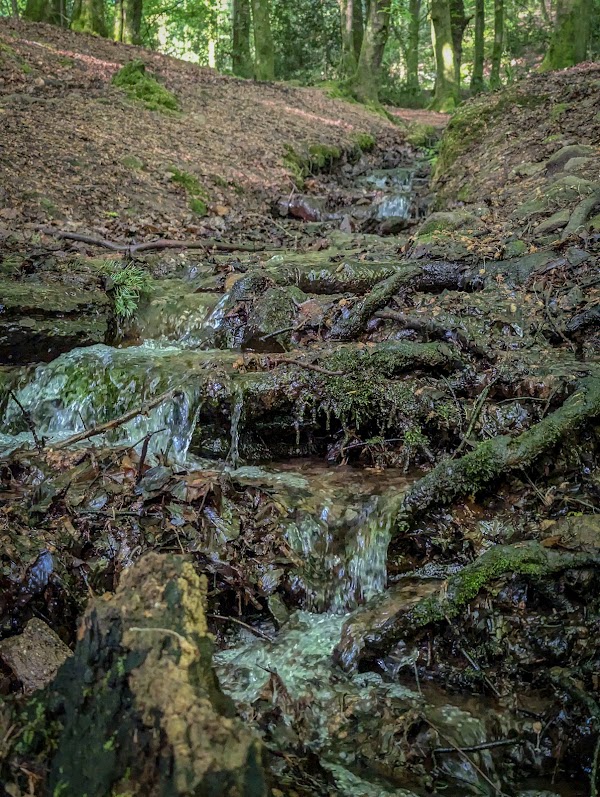 St. Anthony's Well 2