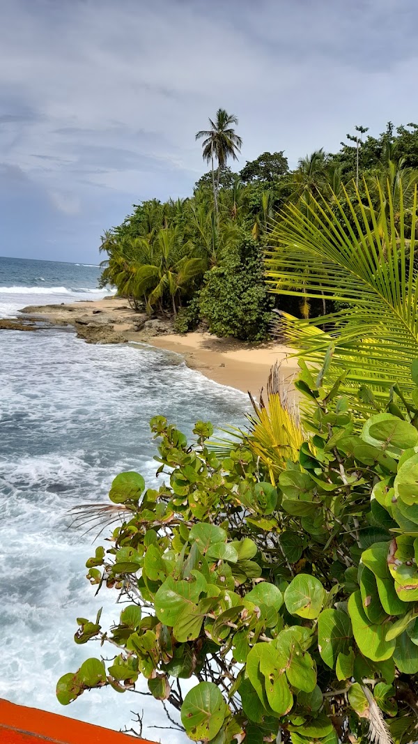 Manzanillo 3