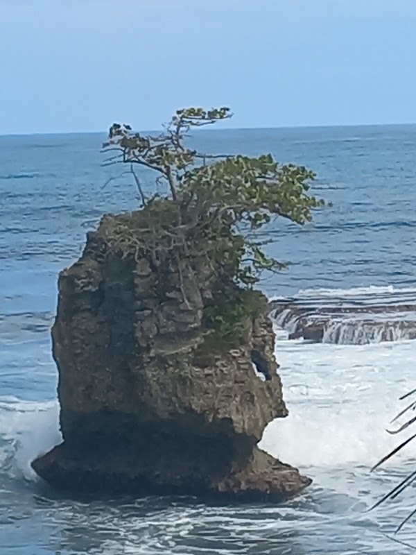Manzanillo 2