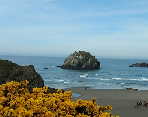 California 30