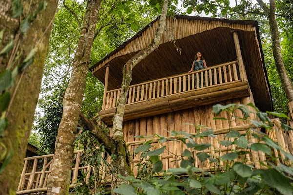 Buhoma Lodge - Bwindi Impenetrable Forest 1