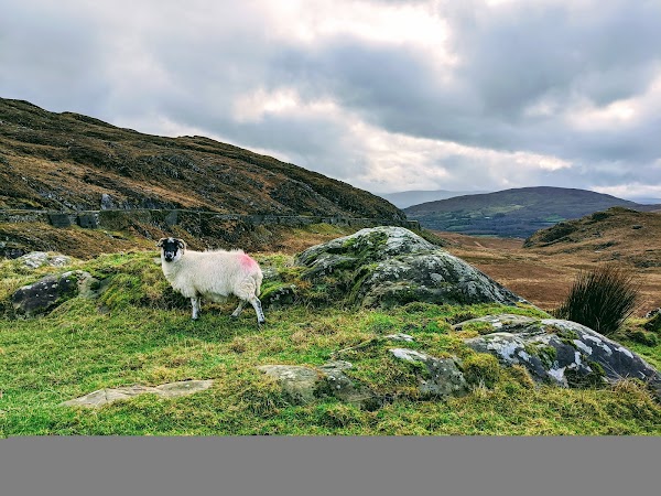 Moll's Gap 3