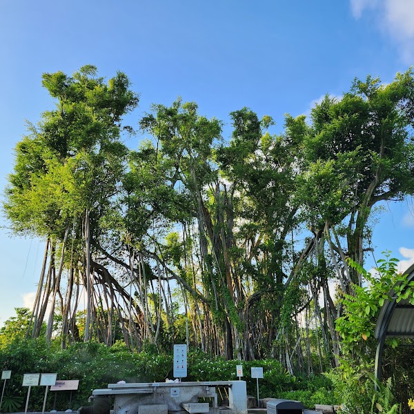 Sembawang Hot Spring Park 2