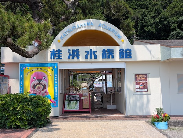 Katsurahama Aquarium 1