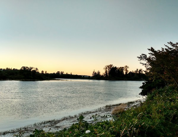 Everett 4