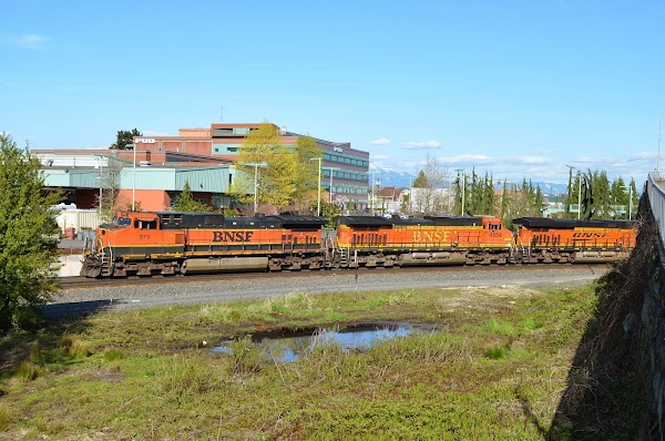 Everett 3