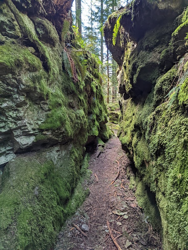 Talus Rocks 1