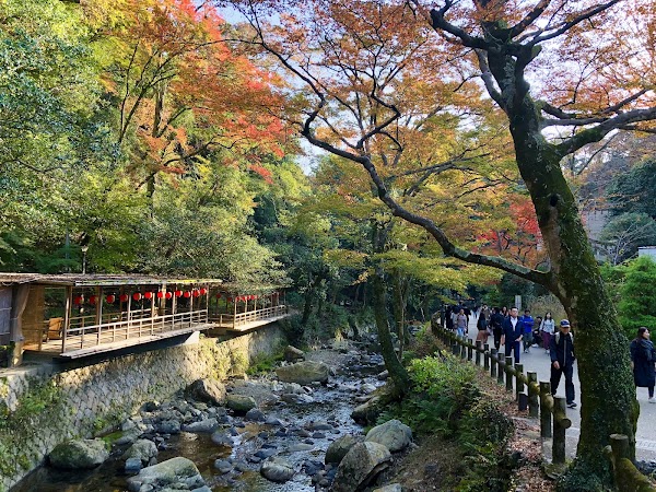 Minoh National Park 1