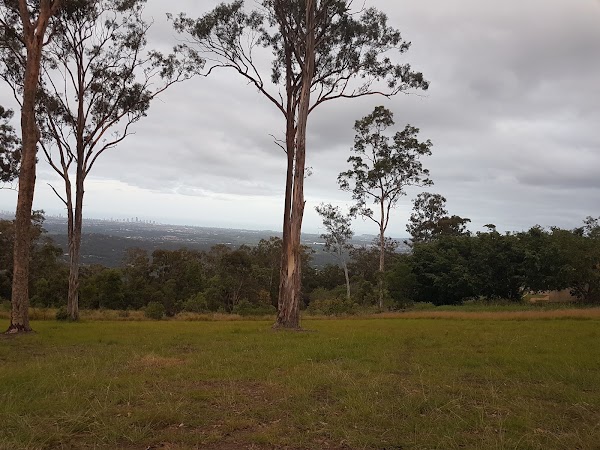 The Panorama