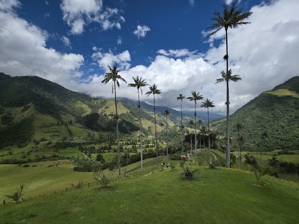 Cocora Valley 1
