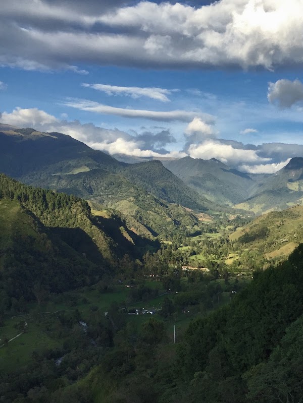 Cocora Valley 4