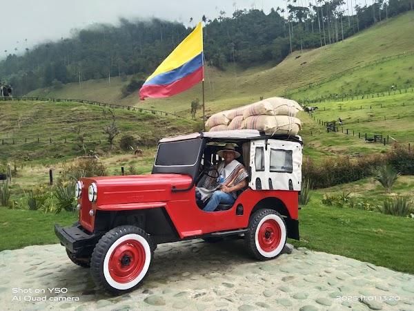 Cocora Valley 3