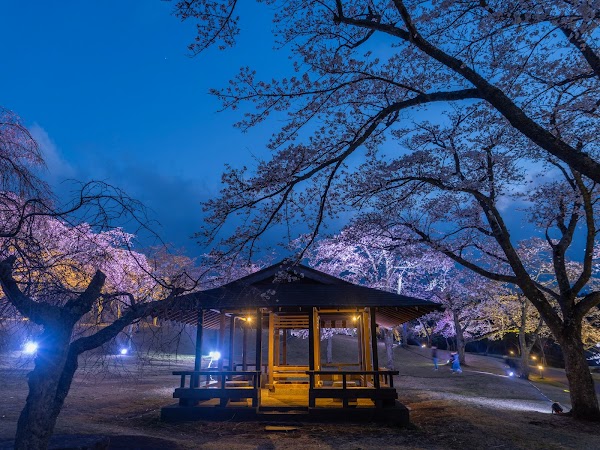 Sakura no sato 2