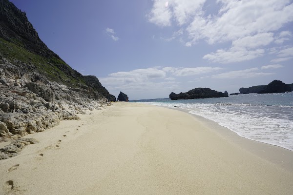 Ogasawara Islands 4