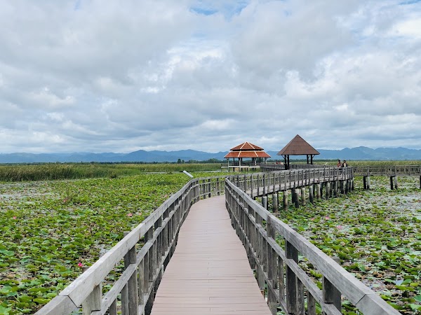 Bueng Bua Wood Boardwalk(Thung Sam Roi Yot) 4