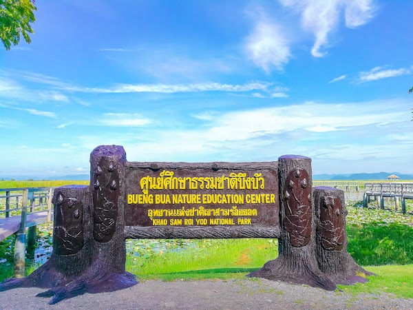 Bueng Bua Wood Boardwalk(Thung Sam Roi Yot) 2
