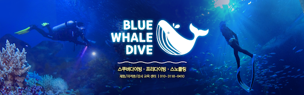 Blue Whale Dive