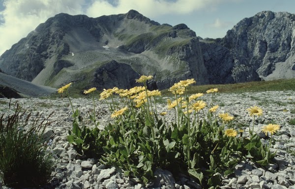 Monte Talvena 5