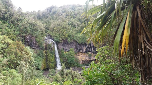 Dawson Falls 4