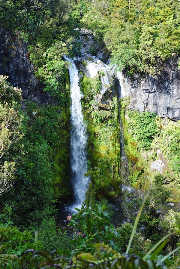 Dawson Falls 3