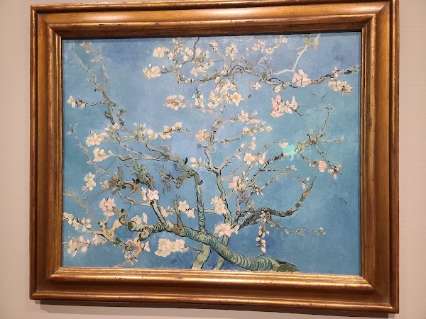 Van Gogh Museum 2