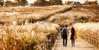 Haneul Park 1