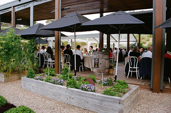 Green Olive at Red Hill 1