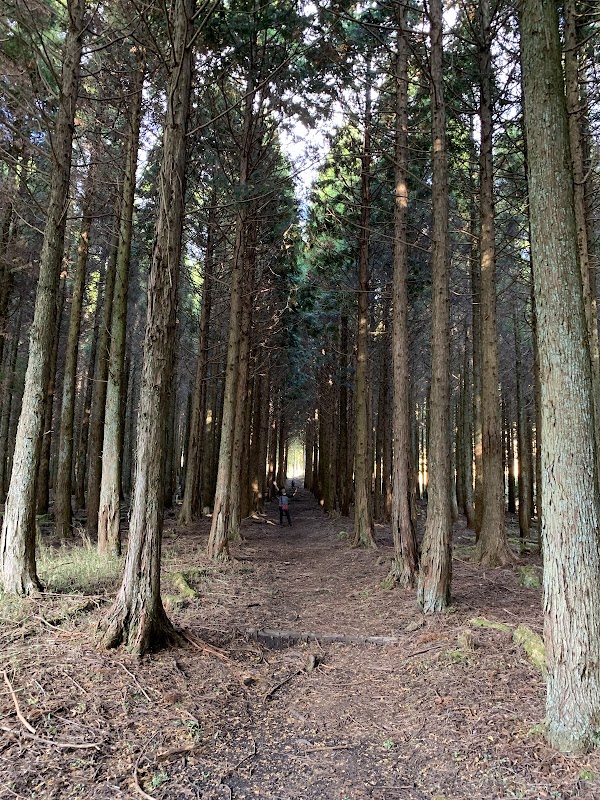 West Trailhead of Mount Yufu 5