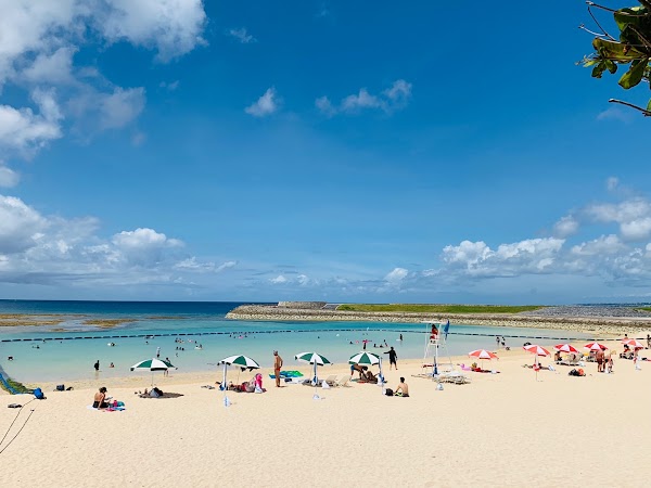 Tropical Beach